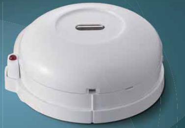 ĐẦU BÁO LỬA HORING